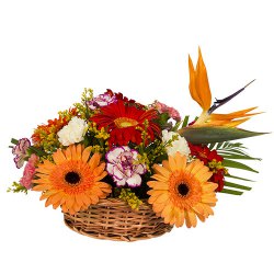 Charming mixed arrangement of Carnations and Gerbe...