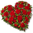 Scintillating 24 Red Carnations in Heart Shape...