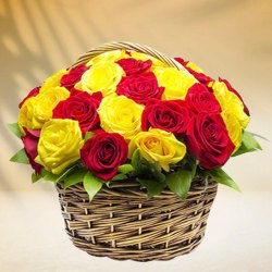 Vibrant Selection of Yellow and Red Coloured Roses...