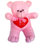 Snuggle Teddy Bear with passion...