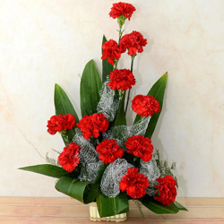 Classic One Dozen Carnations Celebration Bouquet Classic One Dozen Carnations Celebration Bouquet
