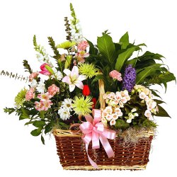 Bouquet of happiness with white and yellow Flowers Bouquet of happiness with white and yellow Flowers
