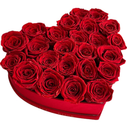 Modern Red Roses Heart Bouquet for Queen Modern Red Roses Heart Bouquet for Queen