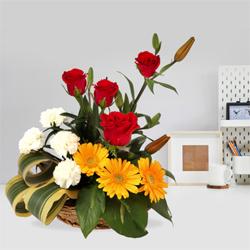 Ravishing Assortment of Seasonal Blooms Ravishing Assortment of Seasonal Blooms