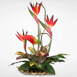 Magnificent Blend of Happiness Birds of Paradise and Anthuriums Arrangement Magnificent Blend of Happiness Birds of Paradise and Anthuriums Arrangement