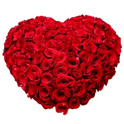 Designed Arrangement in Heart Shaped of 150 Dutch Roses in Red Designed Arrangement in Heart Shaped of 150 Dutch Roses in Red
