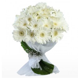 Graceful Arrangement of White Gerberas with Fillers Graceful Arrangement of White Gerberas with Fillers