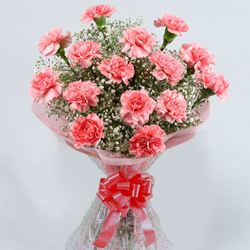 Pretty Bunch of Pink Coloured Carnations Pretty Bunch of Pink Coloured Carnations