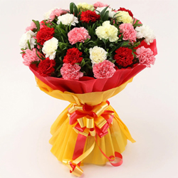Artistic Expression of Romance Collection Artistic Expression of Romance Collection