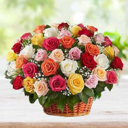 Stylish Collection of Mixed Coloured Roses in Basket Stylish Collection of Mixed Coloured Roses in Basket