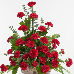 Passionate Full of Love Red Colour Carnations Arrangement Passionate Full of Love Red Colour Carnations Arrangement