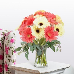 Enigmatic Freshness Gerbera Assemblage Enigmatic Freshness Gerbera Assemblage