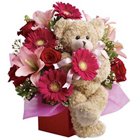 Perk-of-Feelings Premium Arrangement Perk-of-Feelings Premium Arrangement