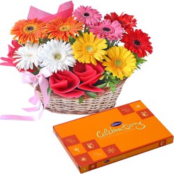 Delicious Cadbury Celebration Pack with Tender Basket Arrangement of Colorful Gerberas Delicious Cadbury Celebration Pack with Tender Basket Arrangement of Colorful Gerberas