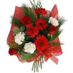 Enchanting Hand Bunch of Red Roses, Red Gerberas along with Red and White Carnations Enchanting Hand Bunch of Red Roses, Red Gerberas along with Red and White Carnations
