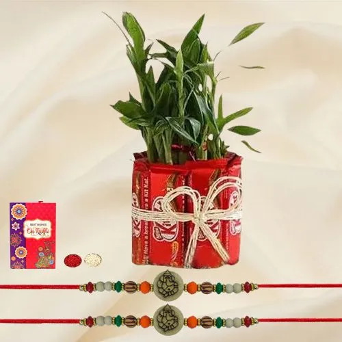 Lovely Set of 2 Ganesh Rakhi with 2 Tier Bamboo Plant N Kitkat Arrangement