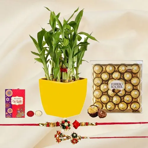 Impressive Lumba Rakhi N 2 Tier Bamboo Plant Collection