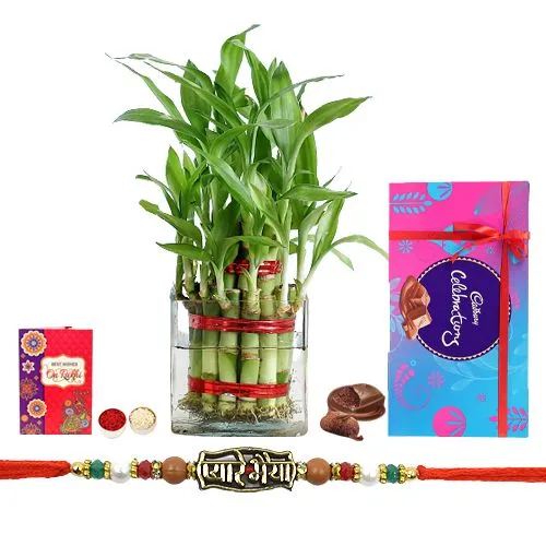 Graceful Pyare Bhaiya Rakhi N 2 Tier Bamboo Plant Combo