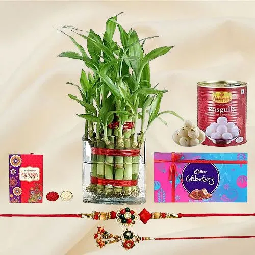 Lovely Combo of Raja Rani Rakhi with 2 Tier Bamboo Plant