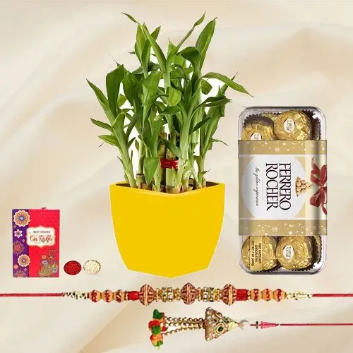 Stylish Lumba Rakhi N 2 Tier Bamboo Plant Arrangement