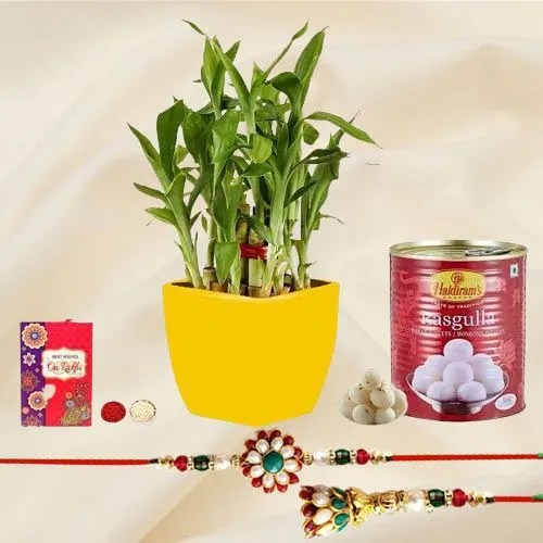 Admirable Combo of Lumba Rakhi N 2 Tier Bamboo Plant