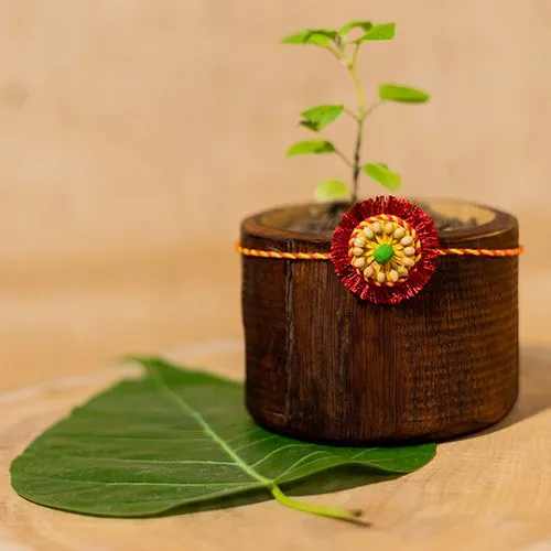 Charming Plantable Sneh Rakhi Set