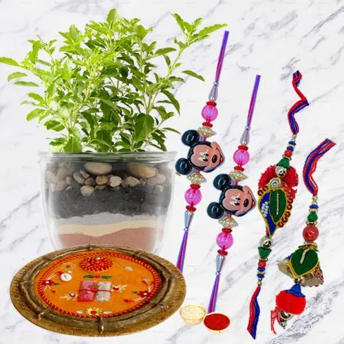 Holy Tulsi Plant with Family Set Rakhi n Pooja Thali