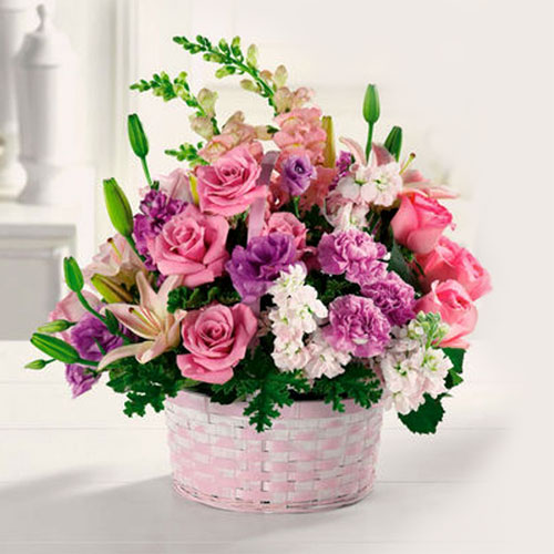 Send Gifts Online to Ahmedabad Free Delivery